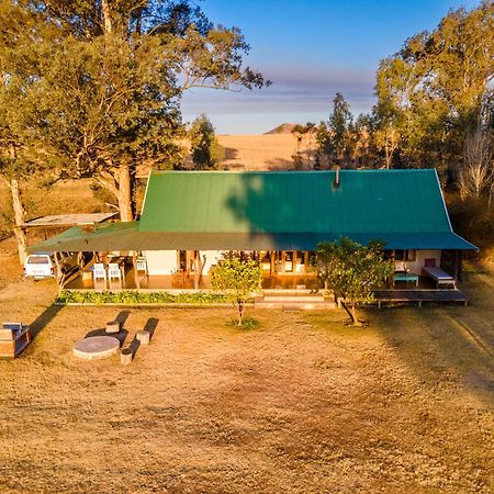 Dalmore Guest Farm بيرغفيل المظهر الخارجي الصورة