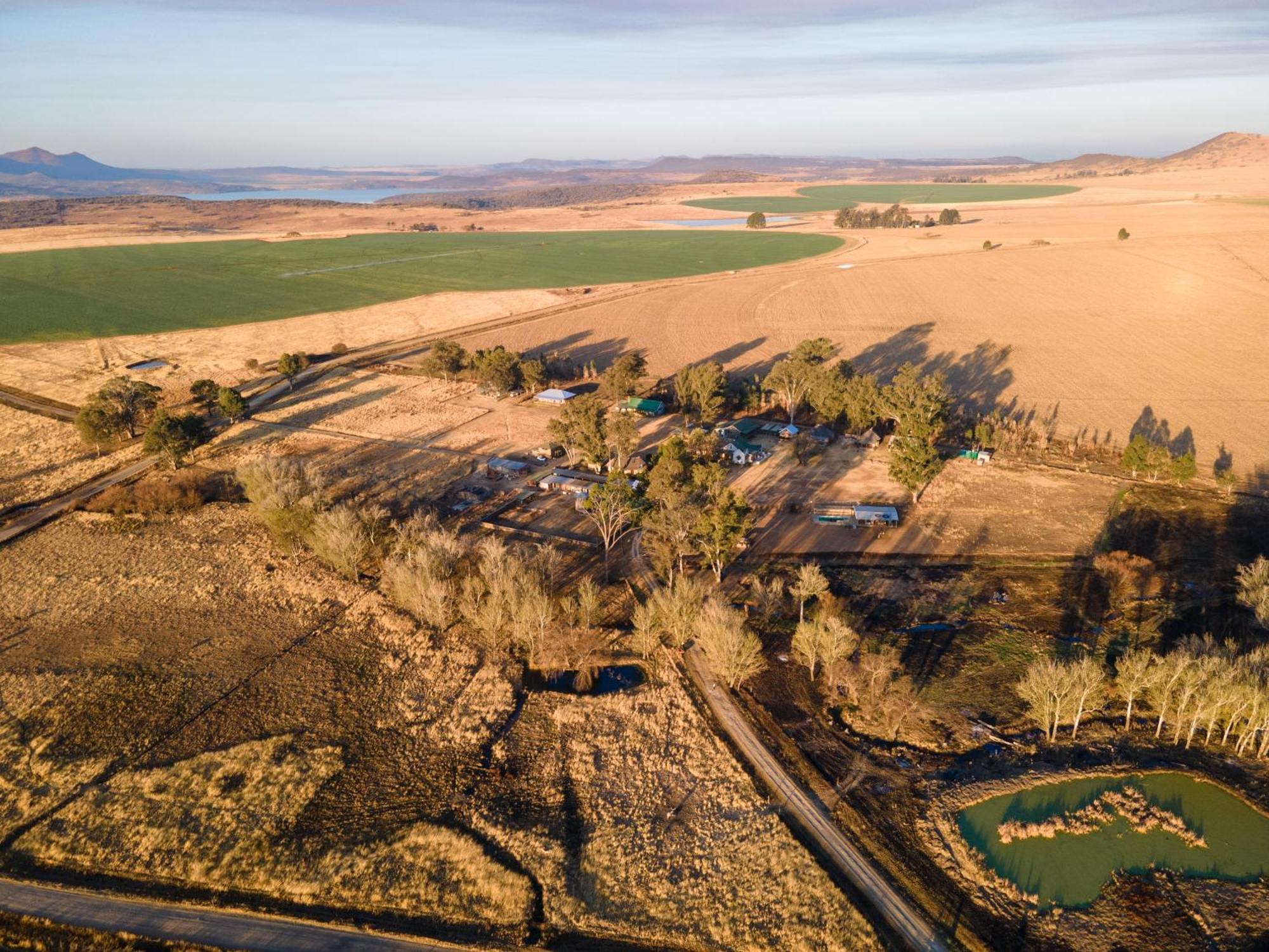Dalmore Guest Farm بيرغفيل المظهر الخارجي الصورة
