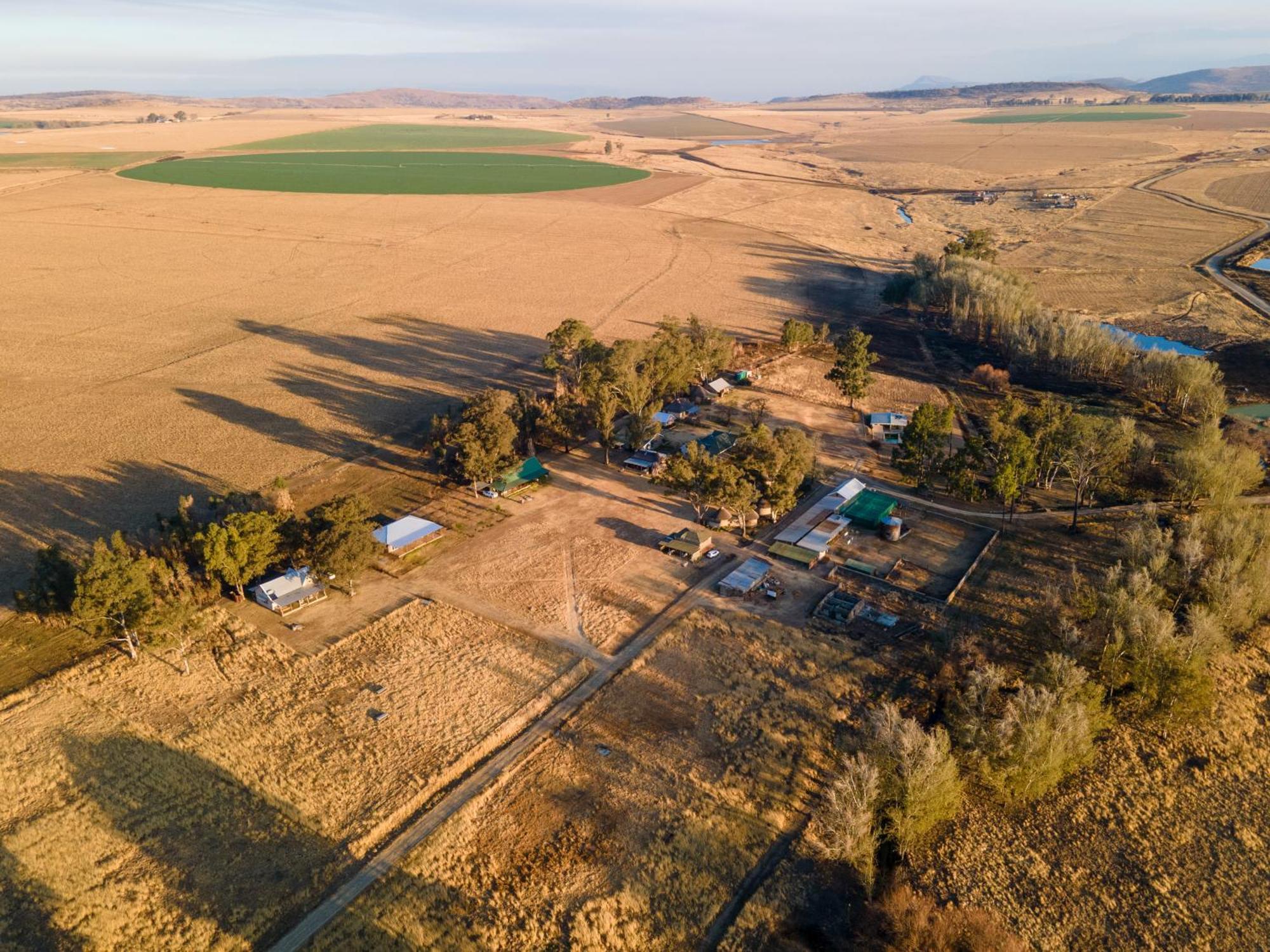Dalmore Guest Farm بيرغفيل المظهر الخارجي الصورة